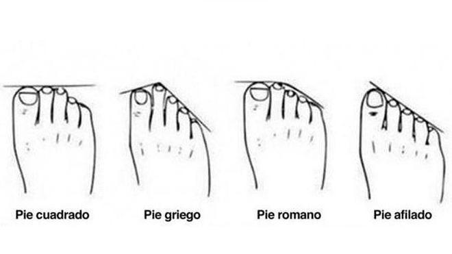 Distintos tipos de puntas de pies