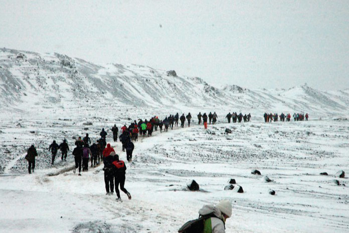 Maratón y Medio Maratón de la Antártida corre rodeado de glaciares, icebergs, pingüinos, focas y ballenas.