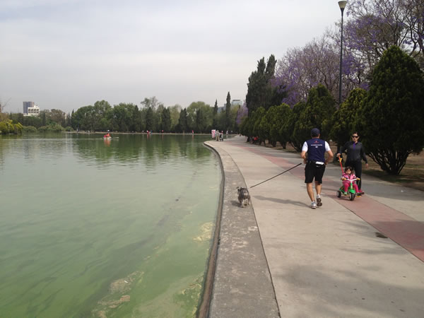 correr en el lago de chapultepec