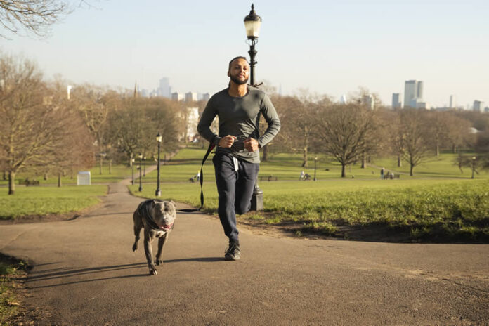 Correr con tu perro ventajas desventajas distancias recomendadas razas ideales y cuidados esenciales