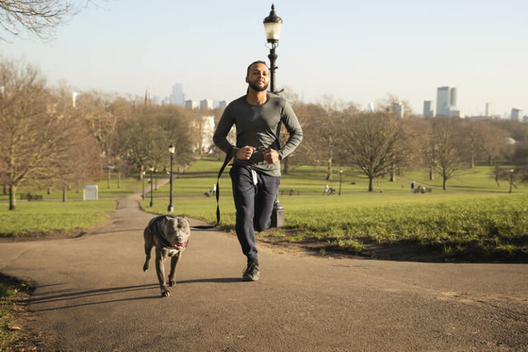 Correr con tu perro: ventajas, desventajas, distancias recomendadas, razas ideales y cuidados esenciales